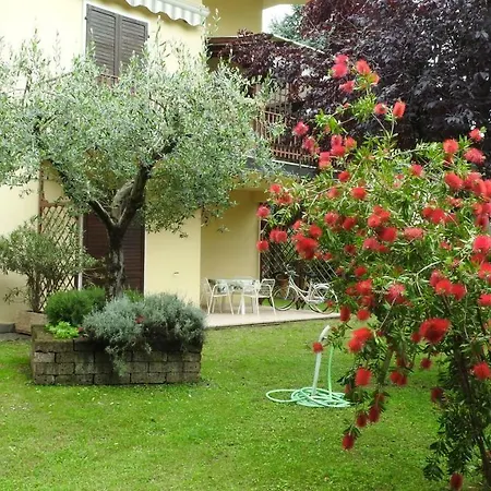 Primavera *